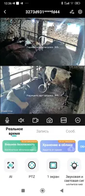 Продаётся большой бык