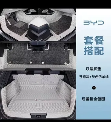 Полики для BYD Song Plus Champion 1