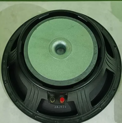 Динамик 15BM-300B 1