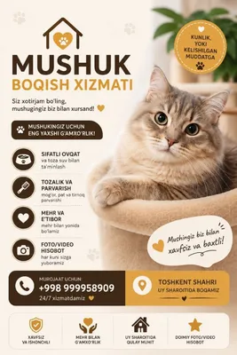 Услуги по уходу за кошками