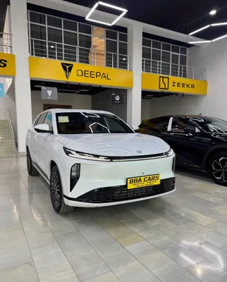 Dongfeng Fengshen L8 1