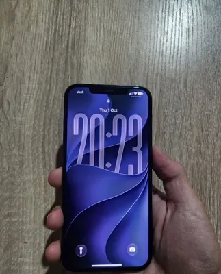 iPhone 12 Pro Max (ideal) 1