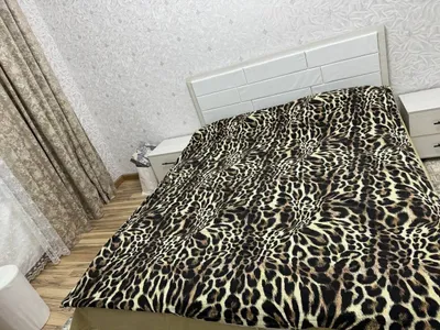 65 m² li 2 xonali kvartira ijarasi · ID 41781 1