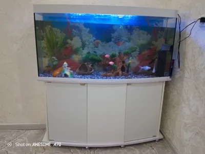 Продаётся аквариум 1