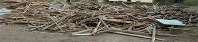 Каламовая древесина 1