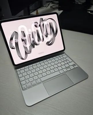 iPad Pro M4 11 дюймов, 122 цикла, 256 ГБ + Magic Keyboard 1