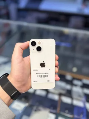 iPhone 13 Mini