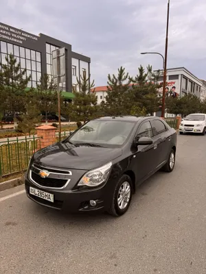 Срочно сотилади краска тозза 1
