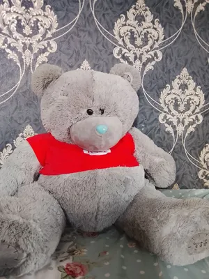 yumshoq teddy