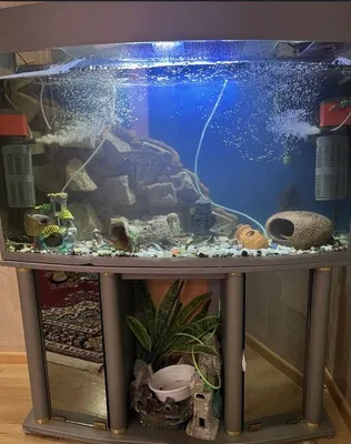 Akvarium 1