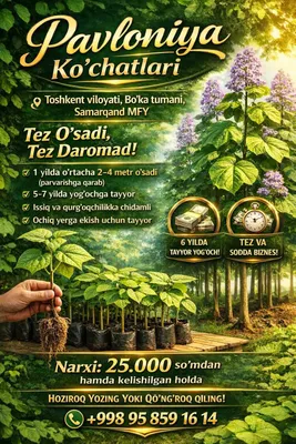DAROMADLI DARAXT EKMOQCHIMISIZ? Pavloniya ko‘chatlari sotuvda! 1