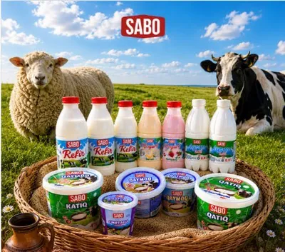 Sabo sut mahsulotlari 1