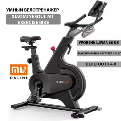 Настоящий Умный велотренажер Xiaomi YESOUL M1 Exercise Bike 1