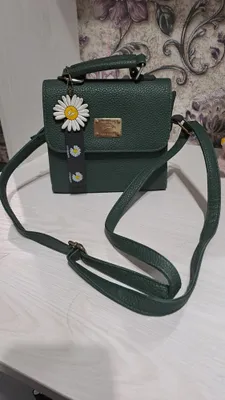 Sumka brilogi bor 1