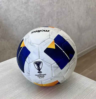 Футбольный мяч Molten AFC 5000 1
