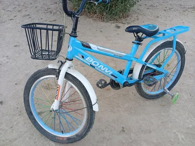 velsepet 1