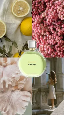 Chanel Chance Fraiche 90/100 ml Fransiya lyuks Turkiya 1