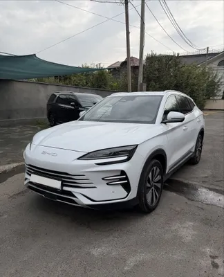 BYD Champion Gibrid 150 Full 1