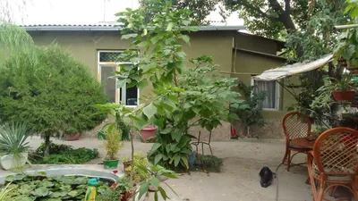 Pskent tumanida dala hovli sotiladi 1