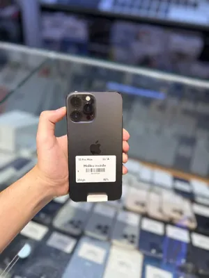 iPhone 13 Pro Max