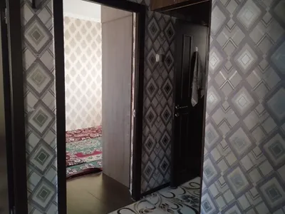 квартира 1