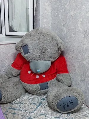 Большой плюшевый мишка