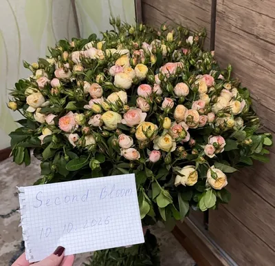 Букет 1