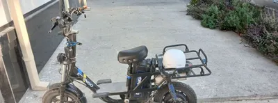 Drongo Skuter arenda