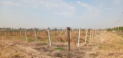 Beton ustunlar, temir ustunlar, tros, yevro ratchetlar, temir to‘r 1