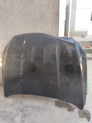 Капот 1