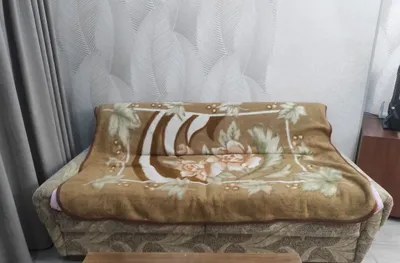 Диван раскладной для зала