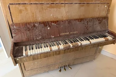 pianino sotiladi 1