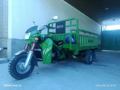 Муравей хунжи Xunji 1