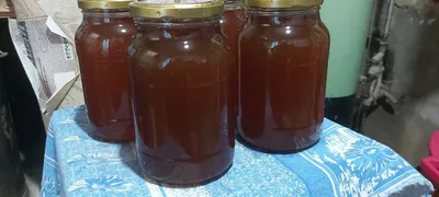 Tabiiy o‘zbek tog‘ asali (yangi hosil) 1