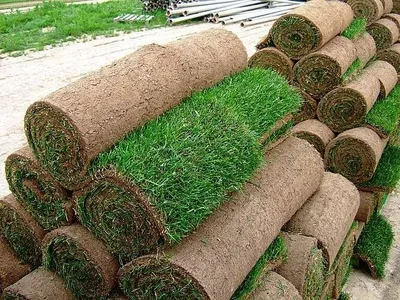 Продаём готовый натуральный рулонный газон. 1