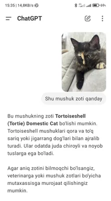 Haqiqiy rus amchini soradi.