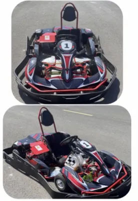 Xitoydan buyurtma asosida Honda 200cc dvigatelli karting 1