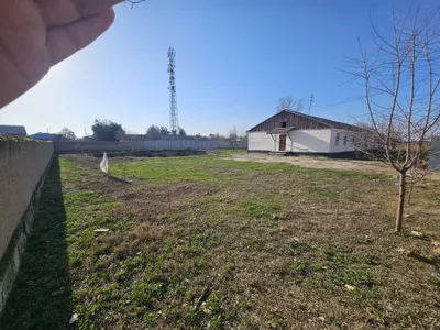 Zarbdor eski bustonda arzonga yer sotiladi 1