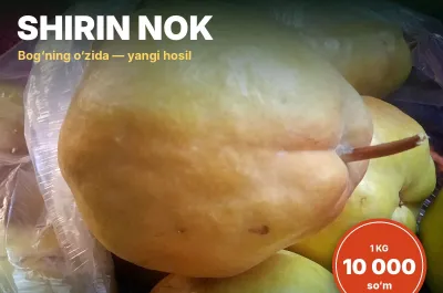 Shirin nok, bog'dan, 10 000 so'm/kg. Ulgurji va chakana 1