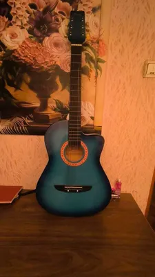 Tervis brendining akustik gitarasi 1