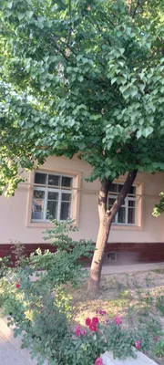 Продаётся дом с 9 комнатами на участке 6,5 сотки в Ташкентской области 1