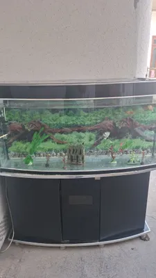 Аквариум из коттаса, 400 л 1