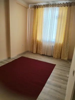 Сниму жильё: 3 студентки