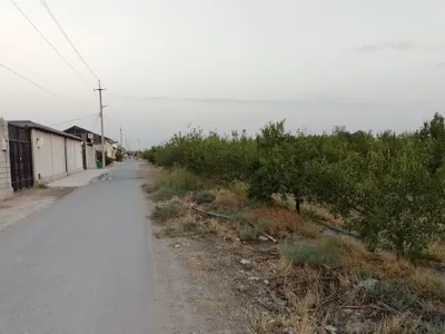Фаргона шахар сотихи 1500 долар 35 сотих 1