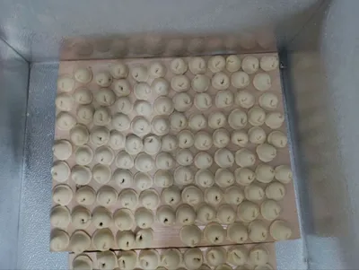 Домашние пельмени 1