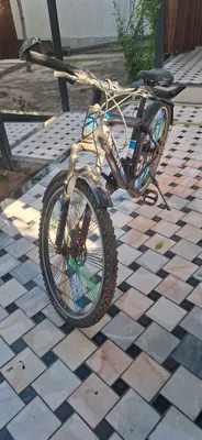velosiped 1