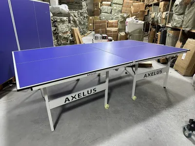 Теннисный стол от бренда Axelus 1
