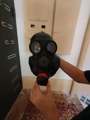 сангур противагаз 1