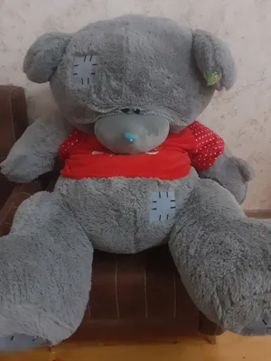 Katta Teddy ayiği 1