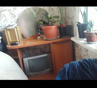 Продаётся теримо
